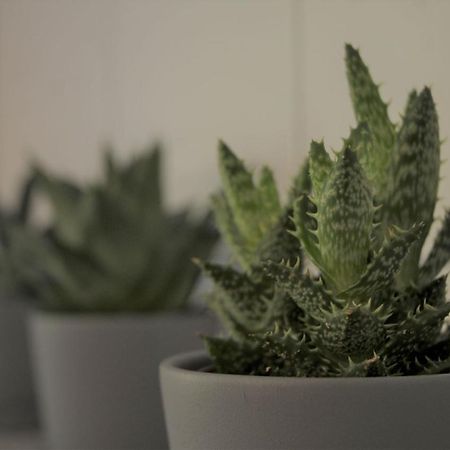 La Gelataia Apartman Münstertal Kültér fotó